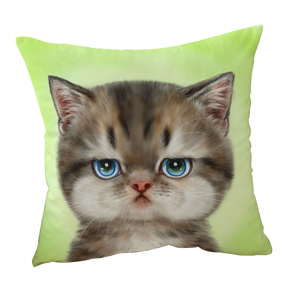 Decorative Pillows with Adorable Cats Displeased Puffy Kitten