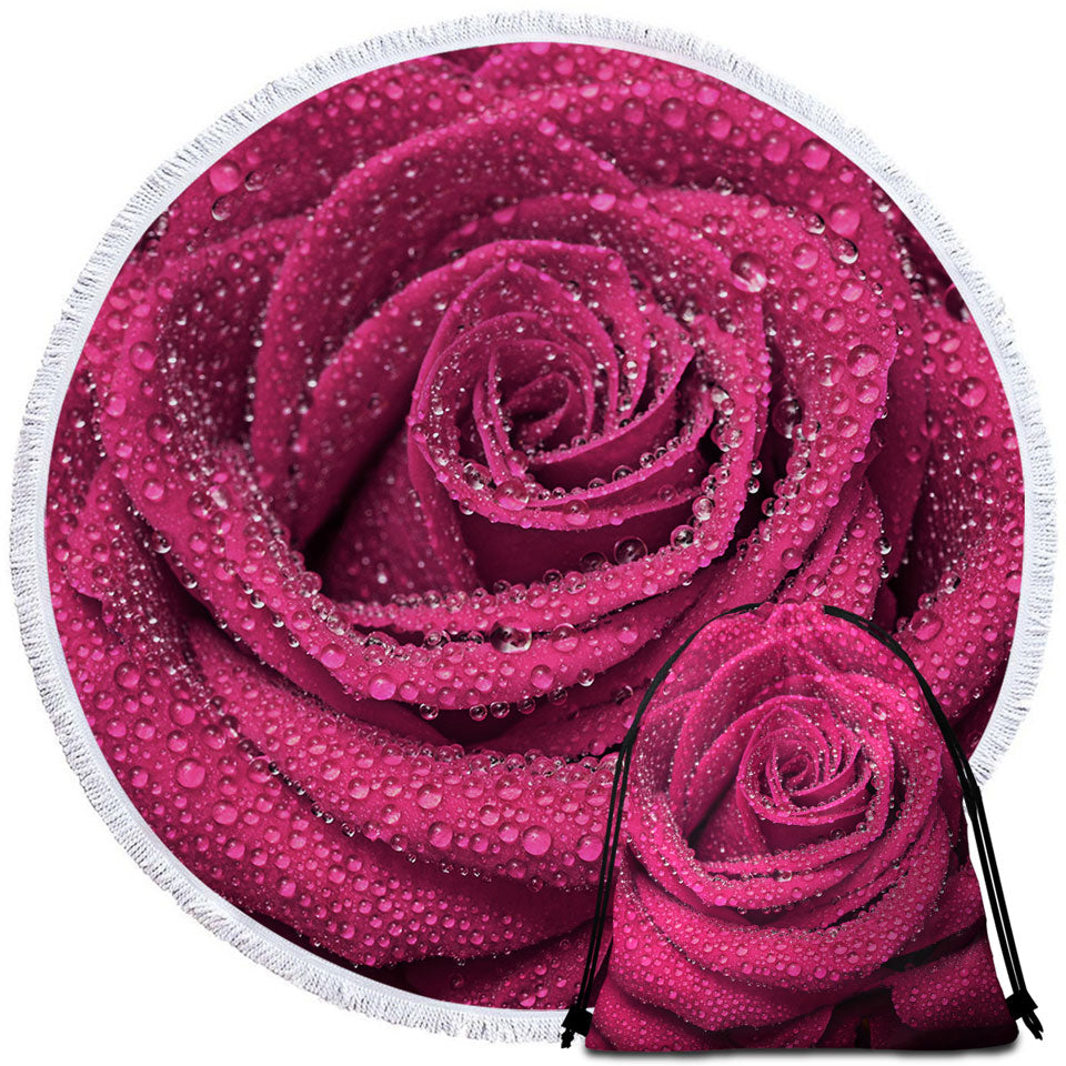 Dew Covered Rosy Rose Beach Towel