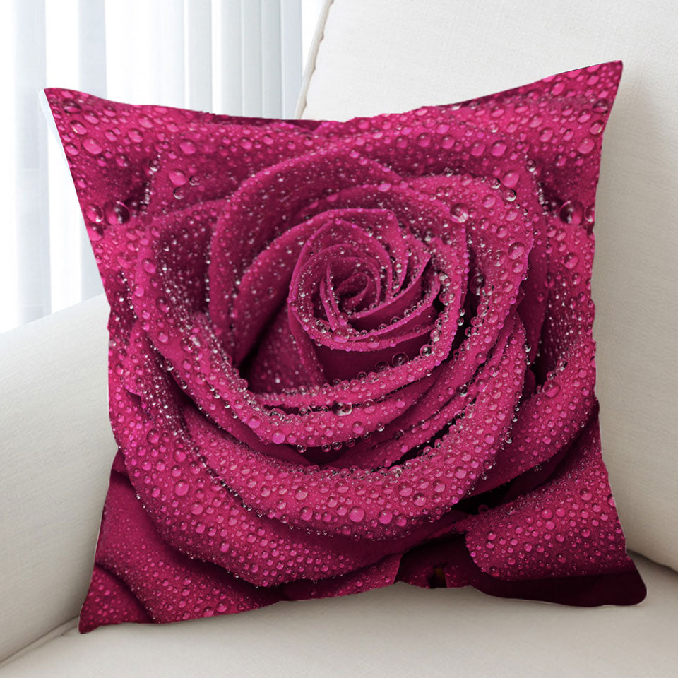 Dew Covered Rosy Rose Cushion