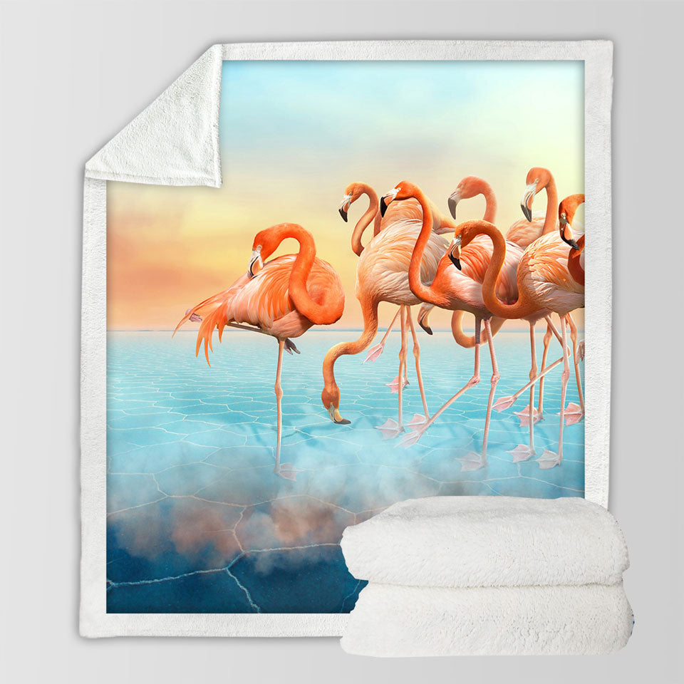 Dry Lake Flamingos Decorative Throws