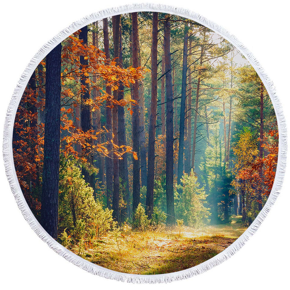 Early Autumn Forest Circle Beach Towel