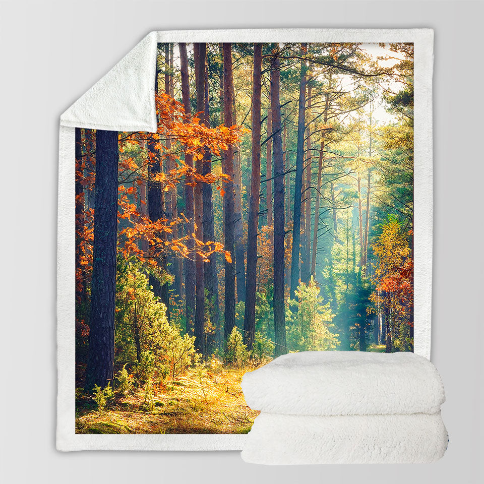 Early Autumn Forest Sherpa Blanket