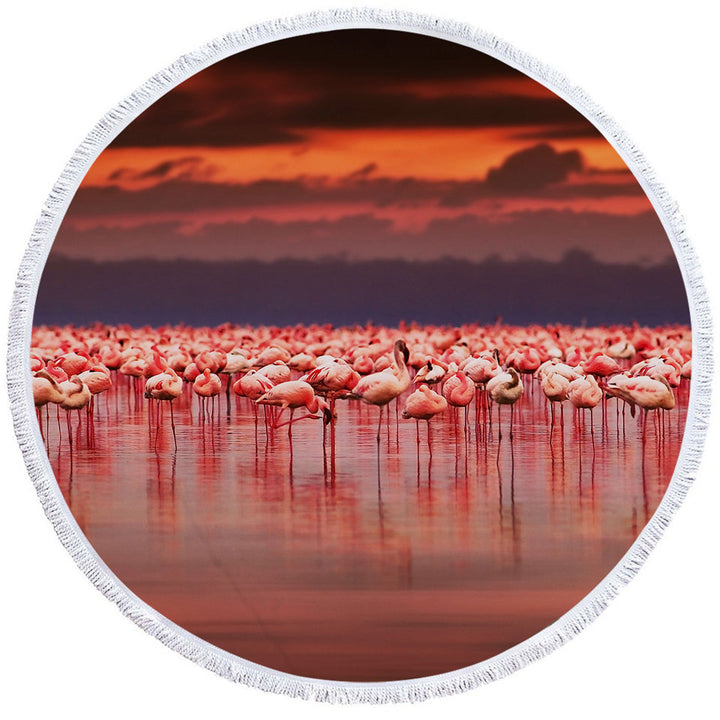 Flamingo Beach Towels Flamboyance of Flamingo Beneath Sunset Sky