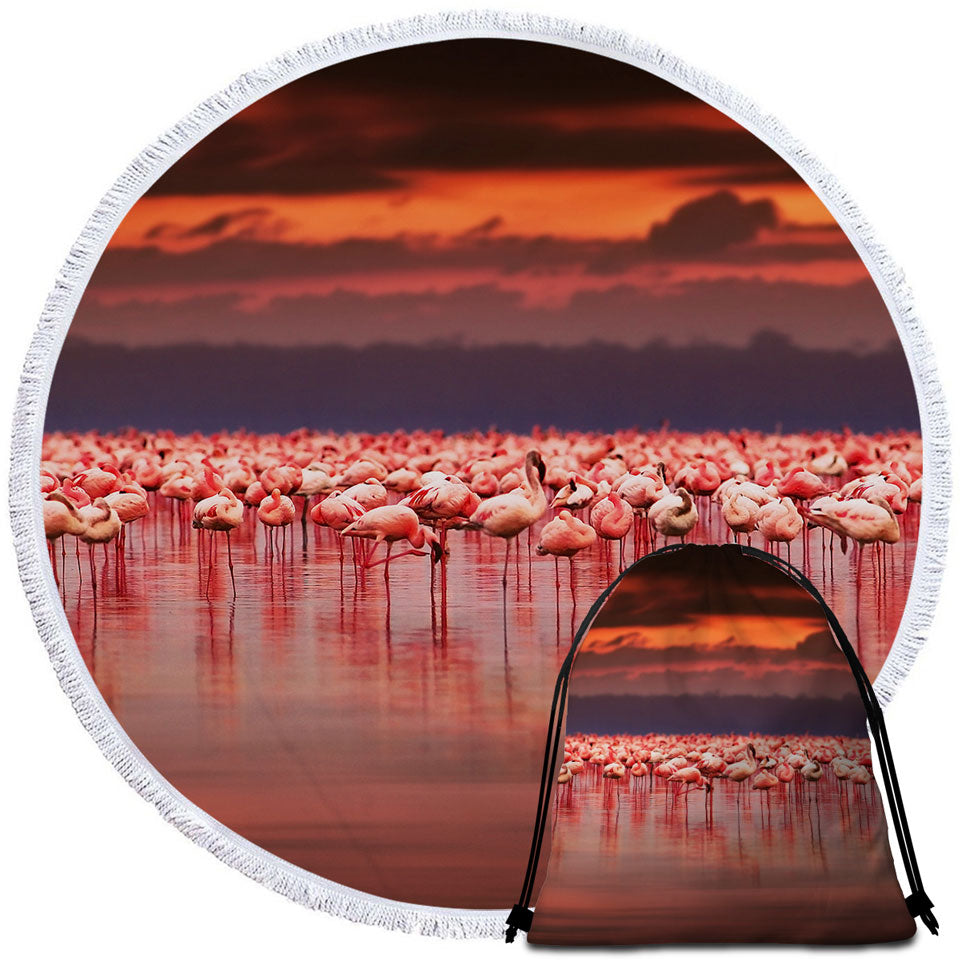 Flamingo Round Beach Towel Flamboyance of Flamingo Beneath Sunset Sky