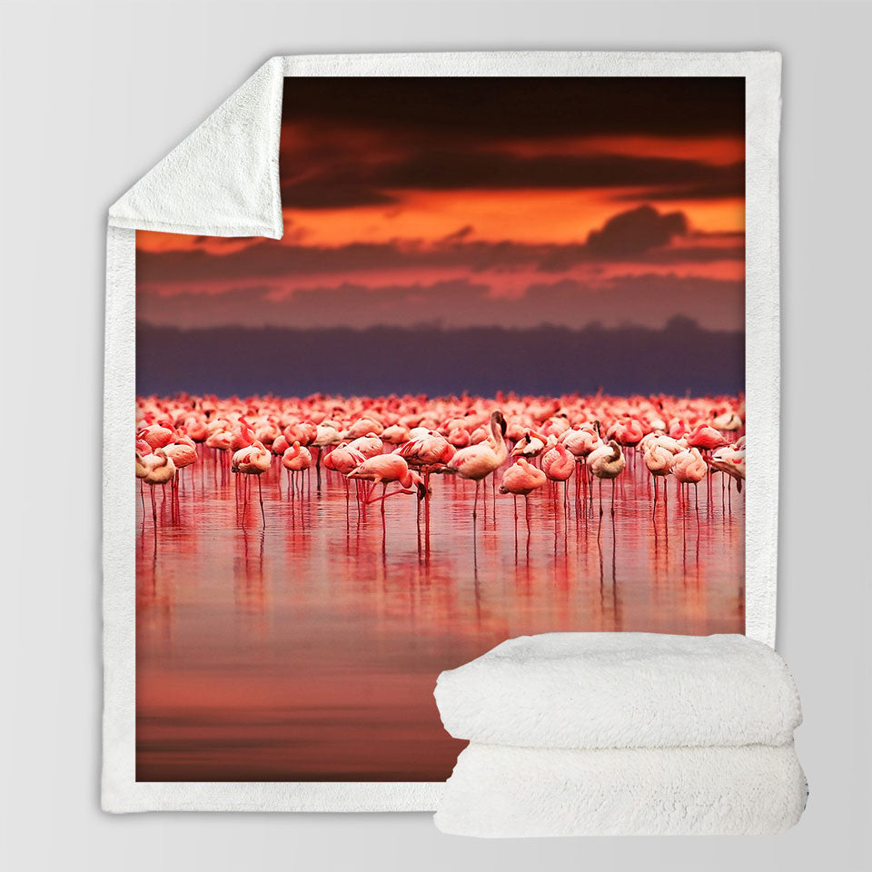 Flamingo Sherpa Blankets Flamboyance of Flamingo Beneath Sunset Sky
