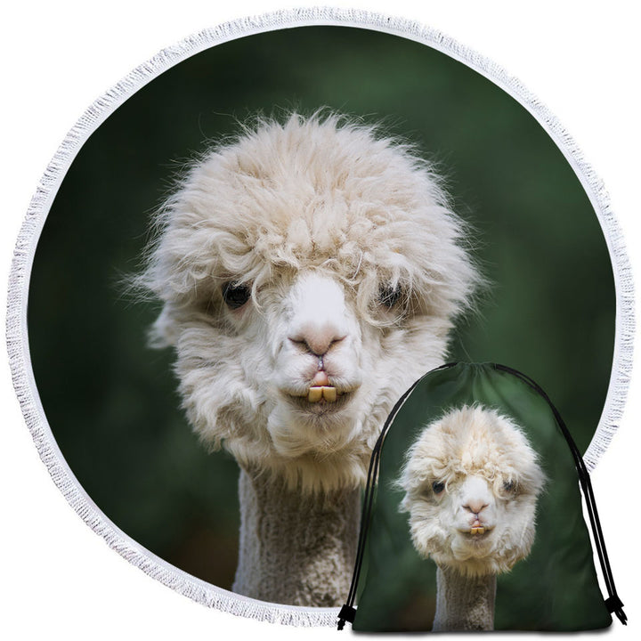 Funny Photo of Llama Circle Beach Towel