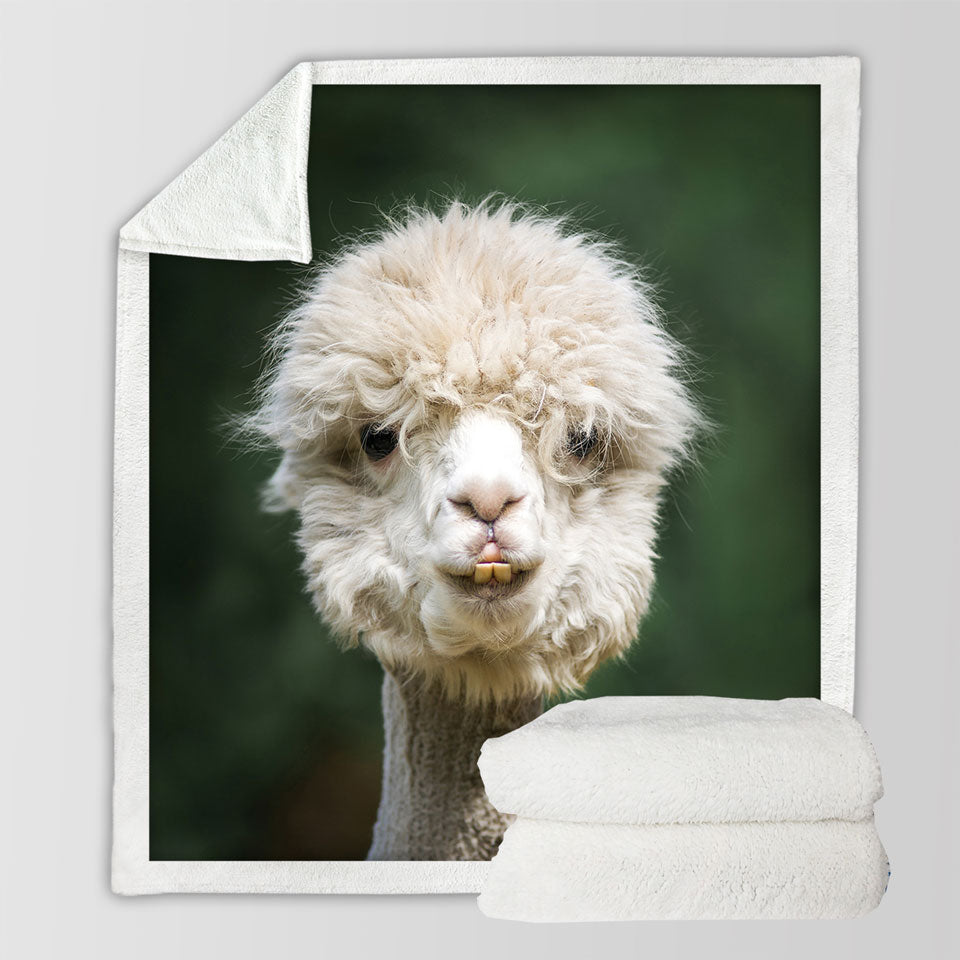 Funny Photo of Llama Fleece Blankets