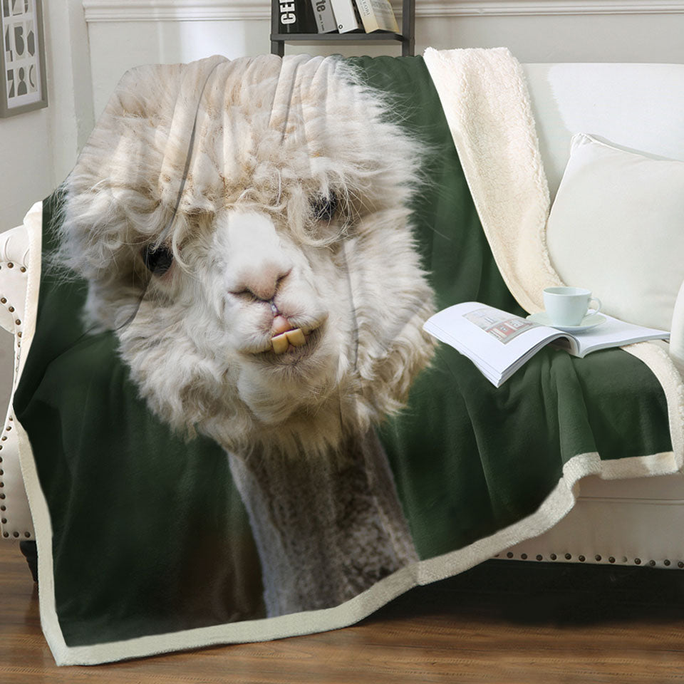 Funny Photo of Llama Sherpa Blanket