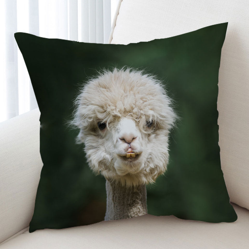 Funny Photo of Llama Throw Pillow
