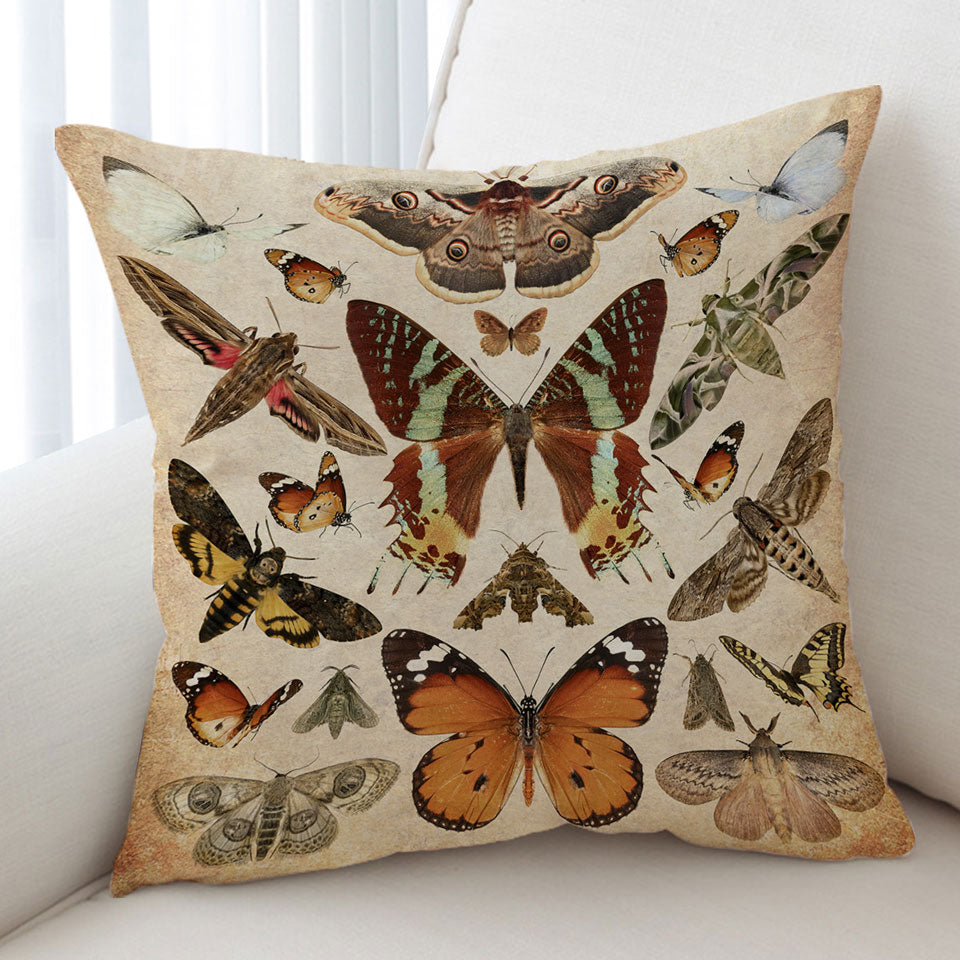 Realistic Butterflies Cushion Covers
