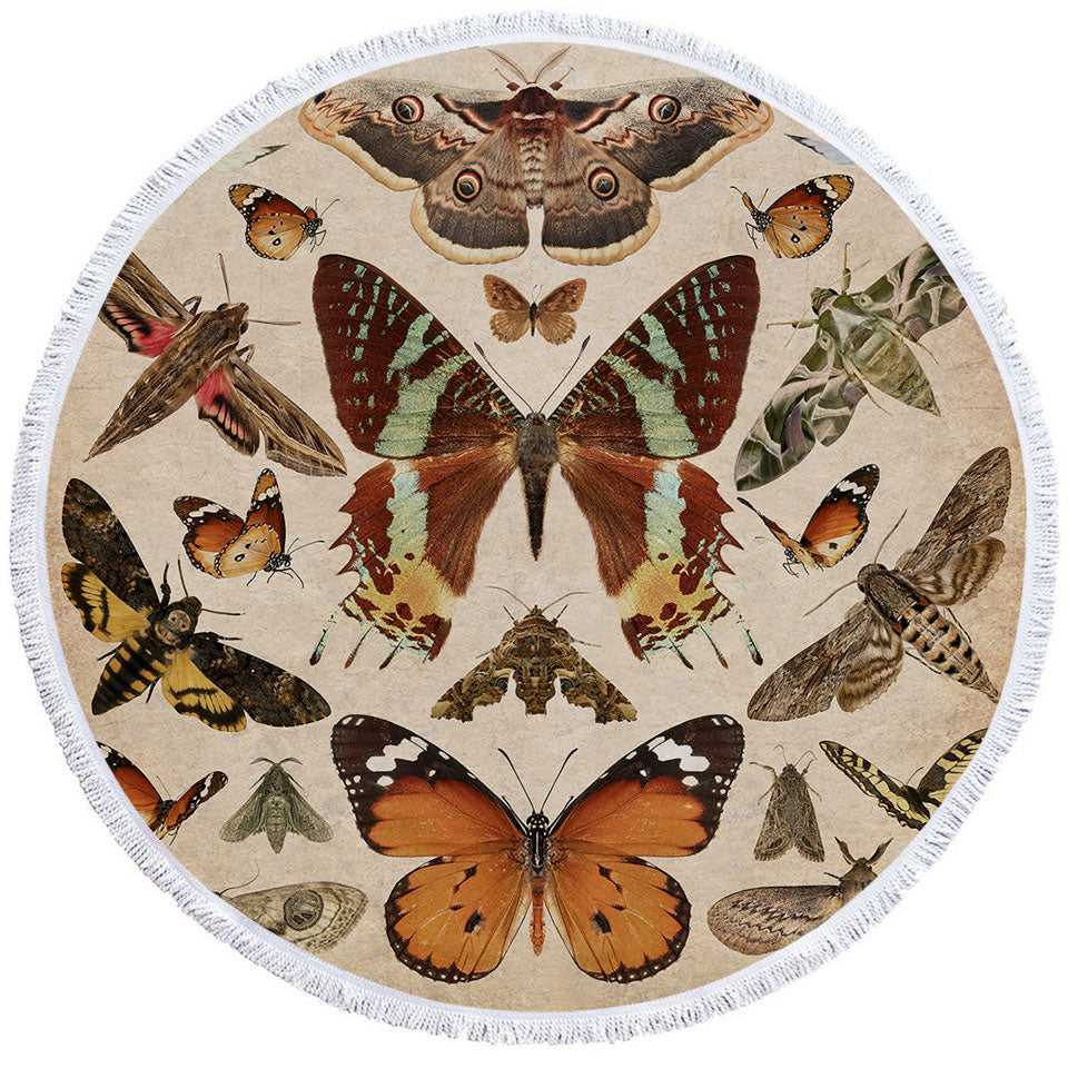 Realistic Butterflies Round Towel