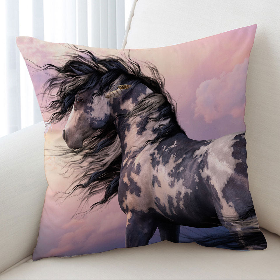 Sunset Clouds Cushion Covert behind Black and White Pinto Horse