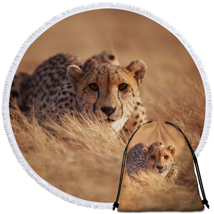Wild Cheetah Circle Beach Towel