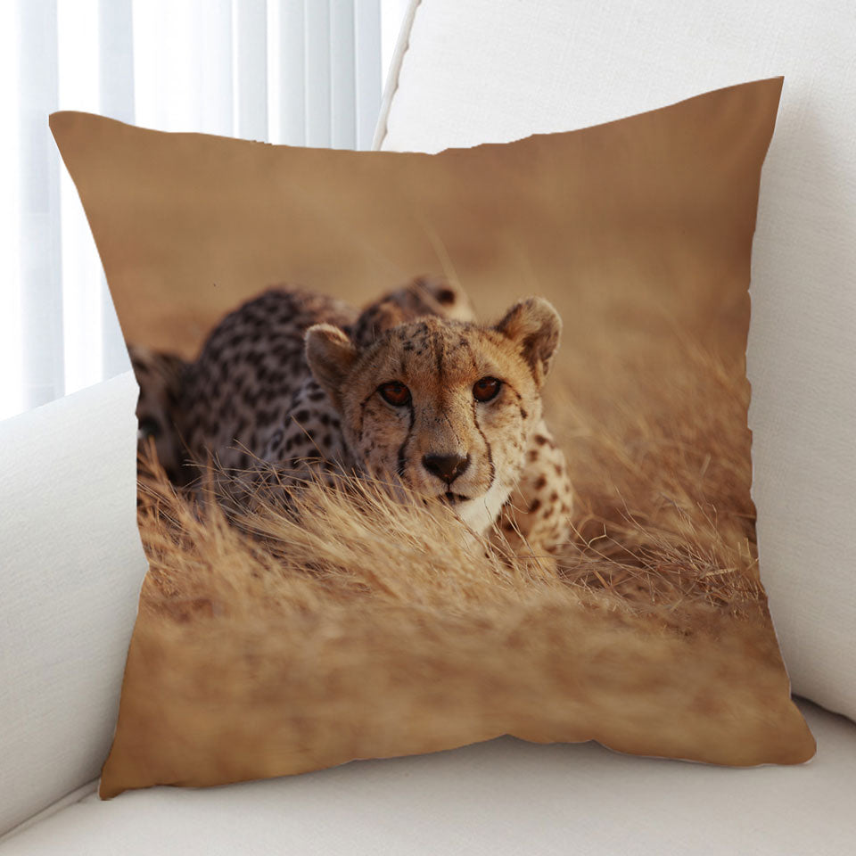 Wild Cheetah Cushion Cover