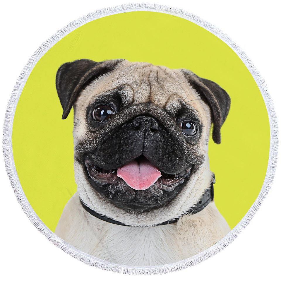 Yellow Background Cute Pug Dog Beach Towels